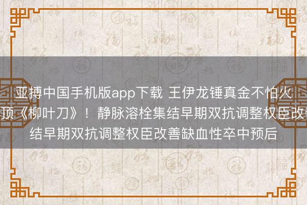 亚搏中国手机版app下载 王伊龙锤真金不怕火团队TAPIS商议登顶《柳叶刀》！静脉溶栓集结早期双抗调整权臣改善缺血性卒中预后