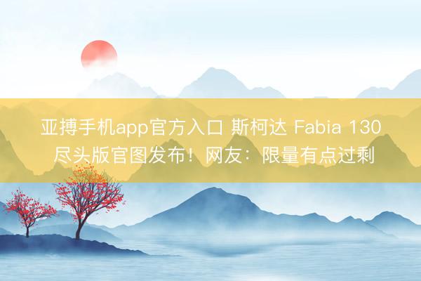 亚搏手机app官方入口 斯柯达 Fabia 130 尽头版官图发布！网友：限量有点过剩