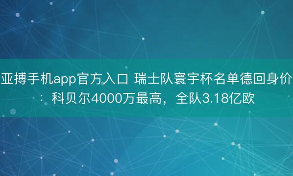 亚搏手机app官方入口 瑞士队寰宇杯名单德回身价：科贝尔4000万最高，全队3.18亿欧