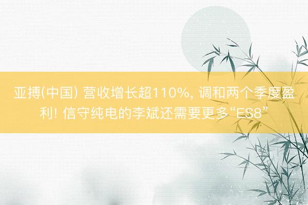 亚搏(中国) 营收增长超110%, 调和两个季度盈利! 信守纯电的李斌还需要更多“ES8”