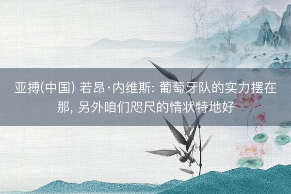亚搏(中国) 若昂·内维斯: 葡萄牙队的实力摆在那， 另外咱们咫尺的情状特地好