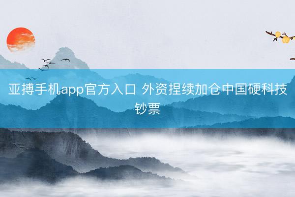 亚搏手机app官方入口 外资捏续加仓中国硬科技钞票