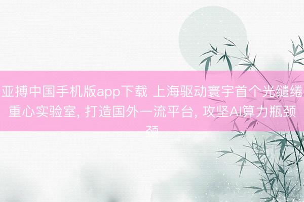 亚搏中国手机版app下载 上海驱动寰宇首个光缱绻重心实验室， 打造国外一流平台， 攻坚AI算力瓶颈