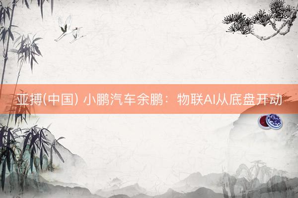 亚搏(中国) 小鹏汽车余鹏：物联AI从底盘开动