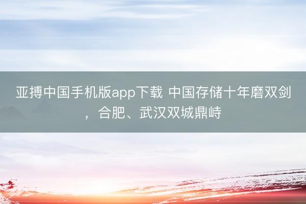 亚搏中国手机版app下载 中国存储十年磨双剑，合肥、武汉双城鼎峙