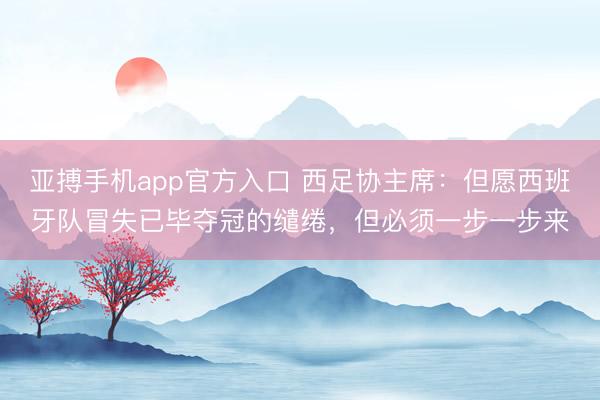 亚搏手机app官方入口 西足协主席：但愿西班牙队冒失已毕夺冠的缱绻，但必须一步一步来