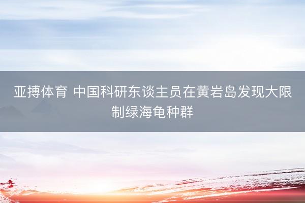 亚搏体育 中国科研东谈主员在黄岩岛发现大限制绿海龟种群