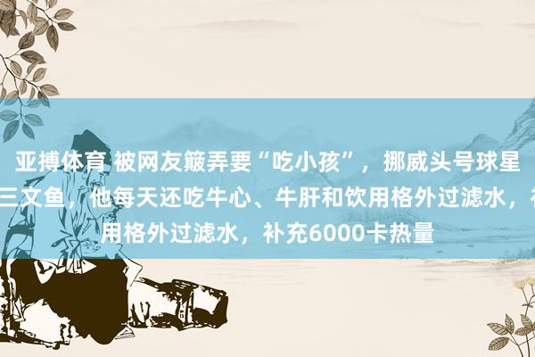 亚搏体育 被网友簸弄要“吃小孩”，挪威头号球星哈兰德其实最爱三文鱼，他每天还吃牛心、牛肝和饮用格外过滤水，补充6000卡热量