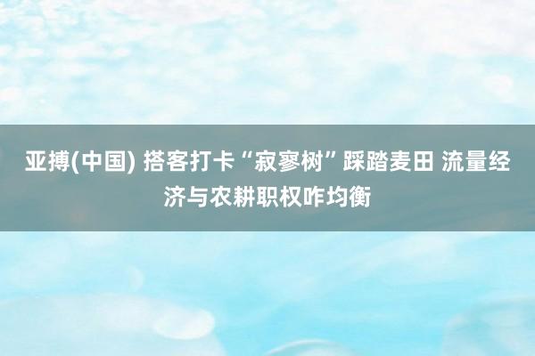 亚搏(中国) 搭客打卡“寂寥树”踩踏麦田 流量经济与农耕职权咋均衡